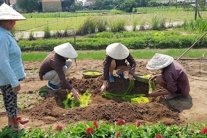 Hoi An Farming & Cooking Class Tour with Herbal Foot Massage