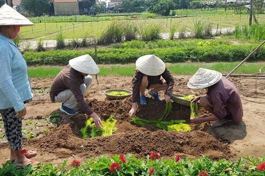 Hoi An Farming & Cooking Class Tour with Herbal Foot Massage