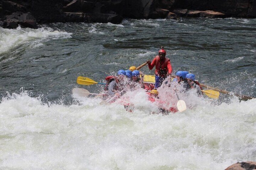 Whitewater rafting on the zambezi river with Shockwave Adventures