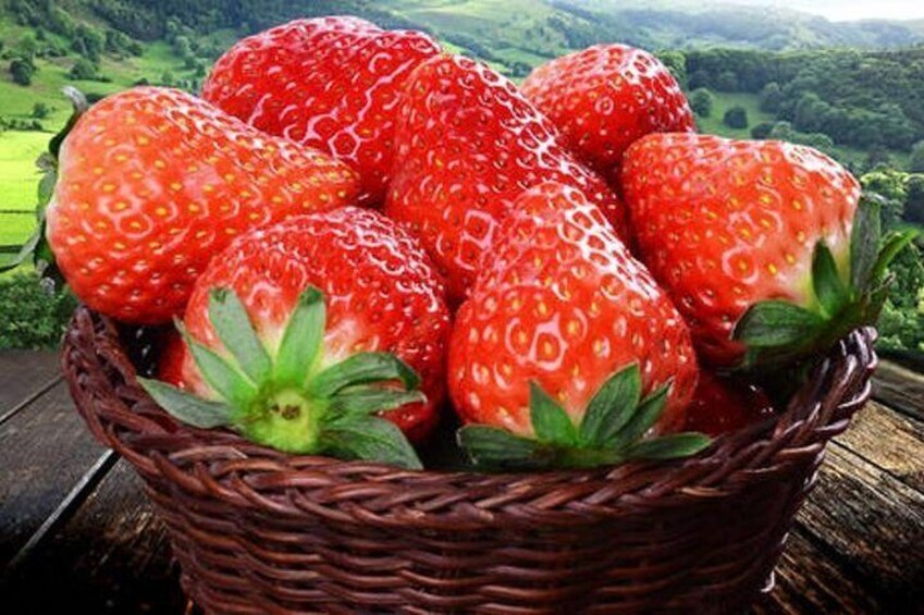 fresh strawberry