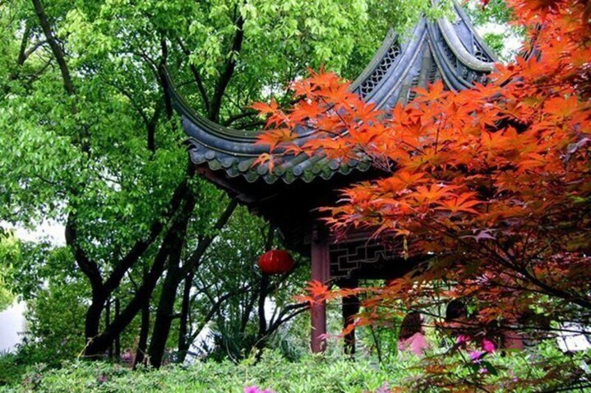 garden in Zhujiajiao 