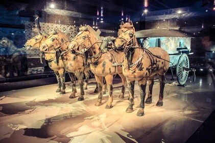 Private Half-Day Tour of Xi'an Terracotta Warriors