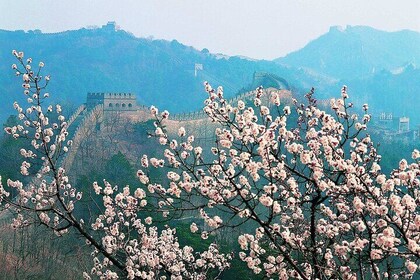 Private Mutianyu Great Wall Day Tour From Beijing City/Airport