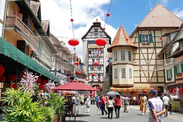 Colmar tropicale deals