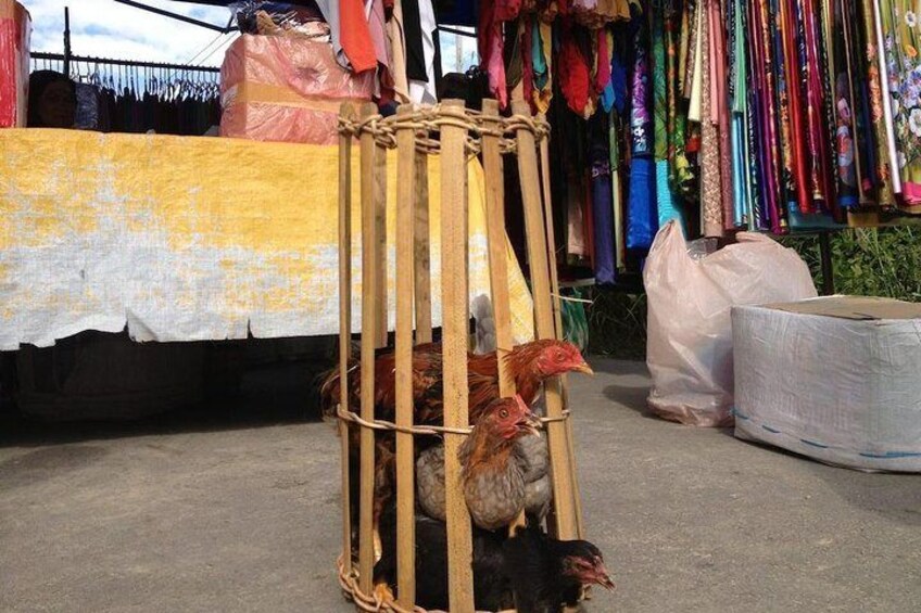 Kota Belud Sunday Market