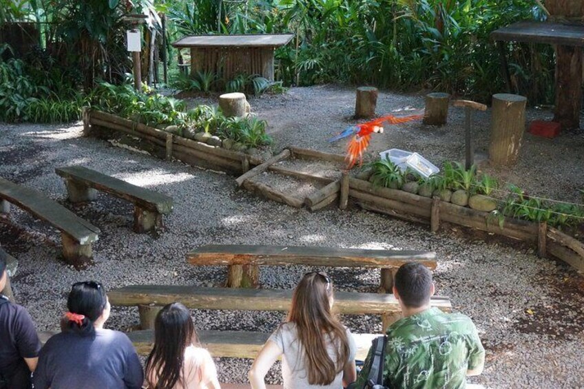 Lok Kawi Wildlife Park Tour From Kota Kinabalu