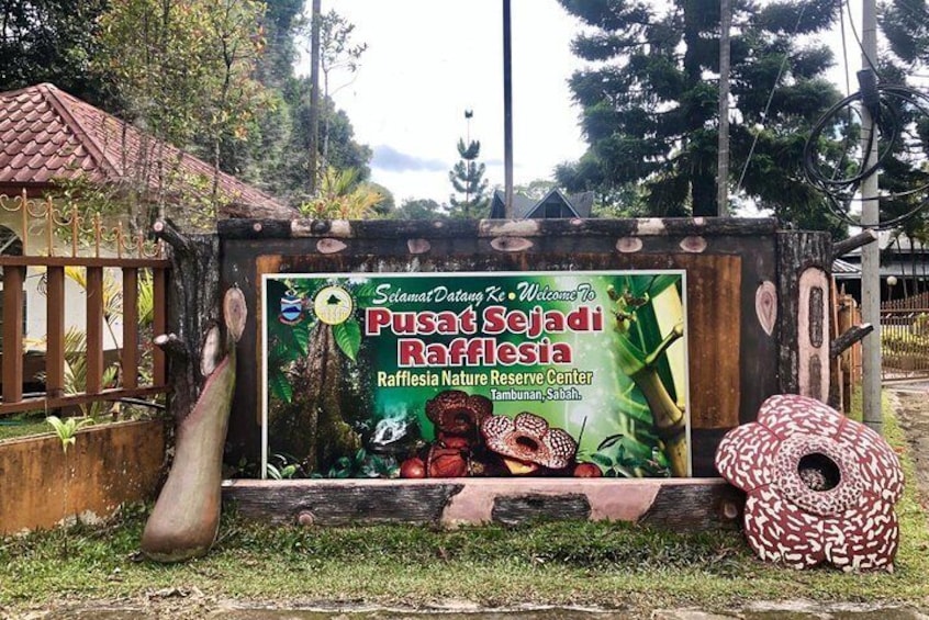 Tambunan Rafflesia Rainforest Reserve Tour from Kota Kinabalu