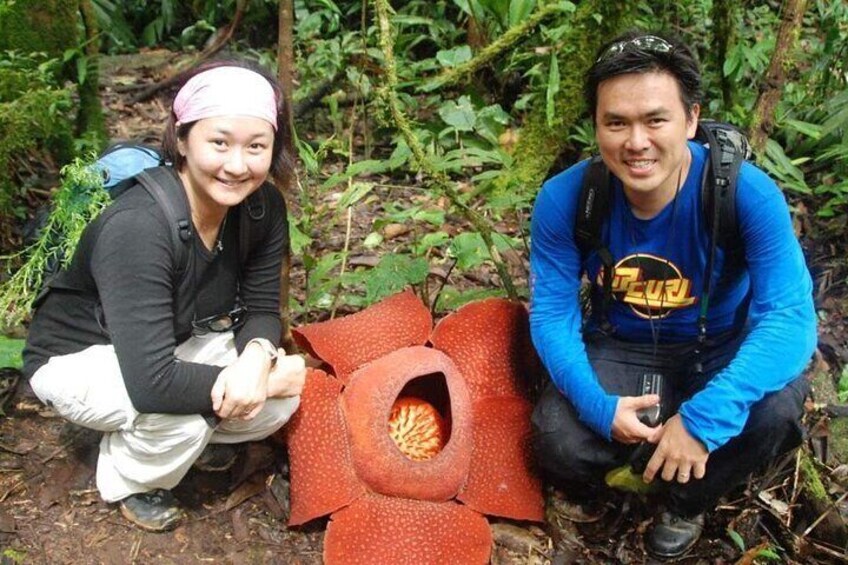 A must get some photoshoot with the Rafflesia when you found them!