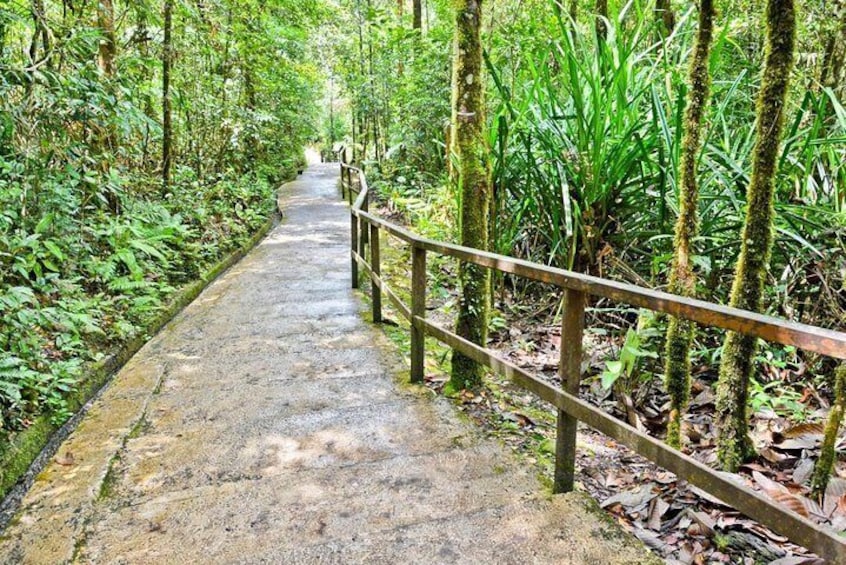 Kinabalu National Park (World Heritage Site) Tour from Kota Kinabalu