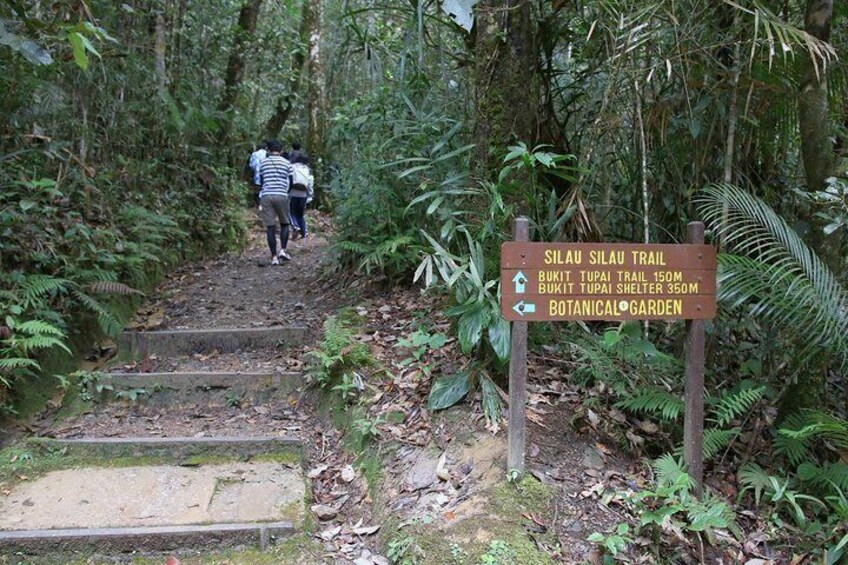 Kinabalu National Park (World Heritage Site) Tour from Kota Kinabalu