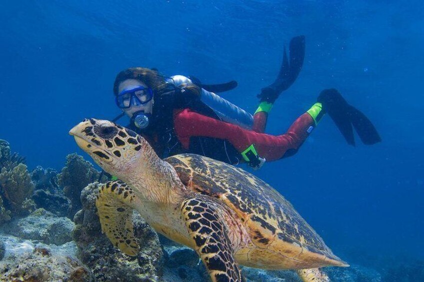 Kota Kinabalu Leisure Diving (Experienced Divers)