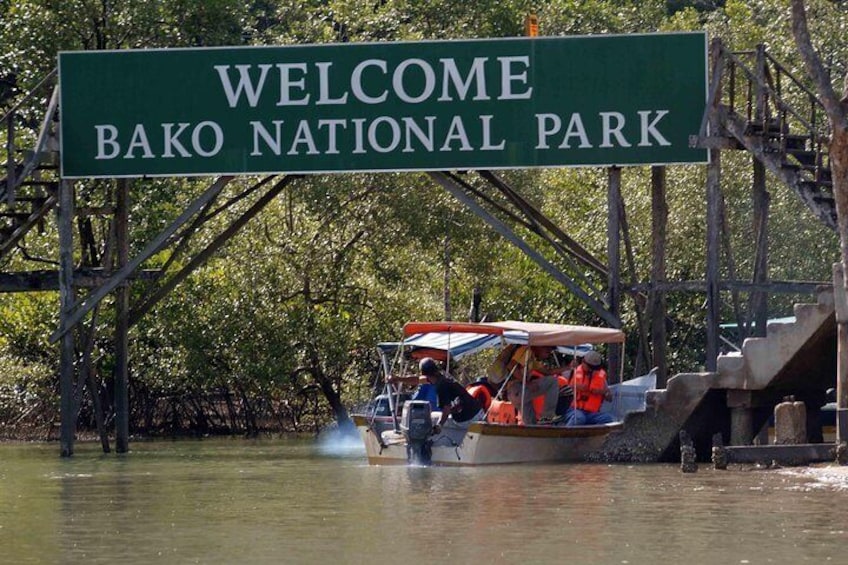 Sarawak Bako National Park Tour