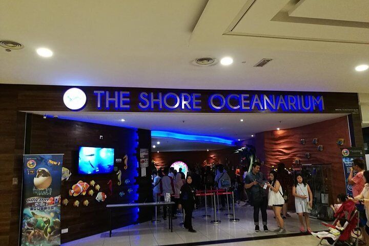 shore oceanarium tickets shore oceanarium tickets