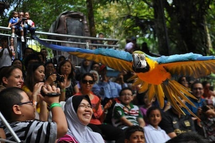 Kuala Lumpur Bird Park Admission with 2hrs Shopping Tour