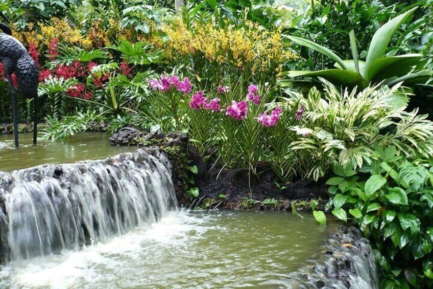 Penang Nature Tour with Penang Hill(Fast Lane), Kek Lok Si & Botanical Garden