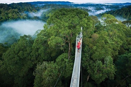 Full Day Trip of Brunei Ulu Temburong National Park including Canopy Walk