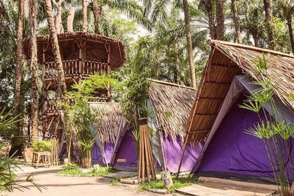 Eco tents at Tadom Hill Resort with Diving Platform, Water Swing & Tarzan S...