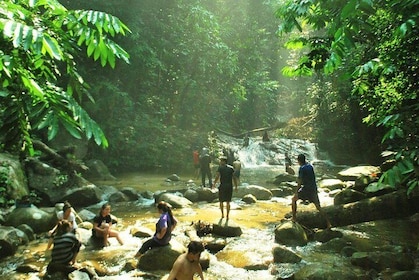 The Dusun : Jungle Trekking Adventure to Waterfall with Jungle Guide