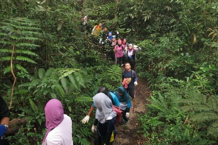 The Dusun : Jungle Trekking Adventure to Waterfall with Jungle Guide