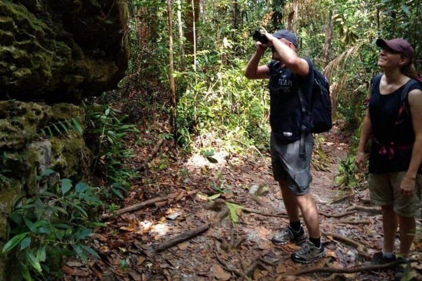 Sarawak Bako National Park with Sea Stack Tour