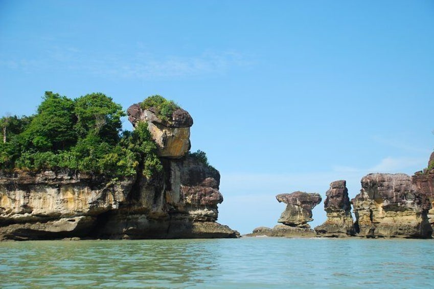 Sarawak Bako National Park with Sea Stack Tour