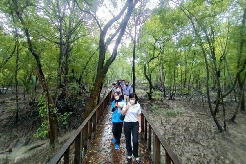 Mangrove Point possesses a unique mangrove ecosystem with surrounding nature that stimulates the element of meditation, health, and well-being through a biophilic environment