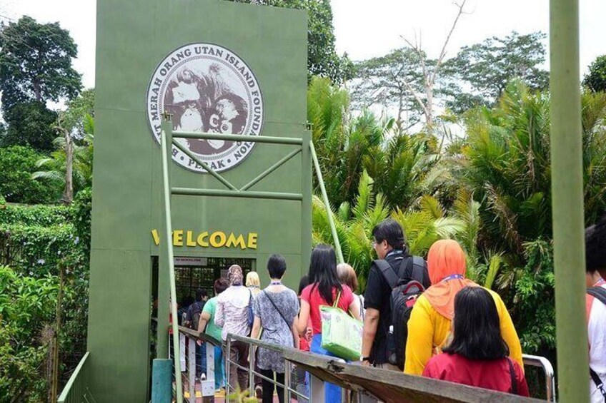 Support the center to maintain welfare of the resident orangutan.