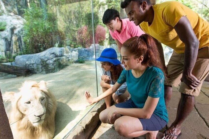 Meet over 150 animal species and explore their different habitats at the Wildlife Park