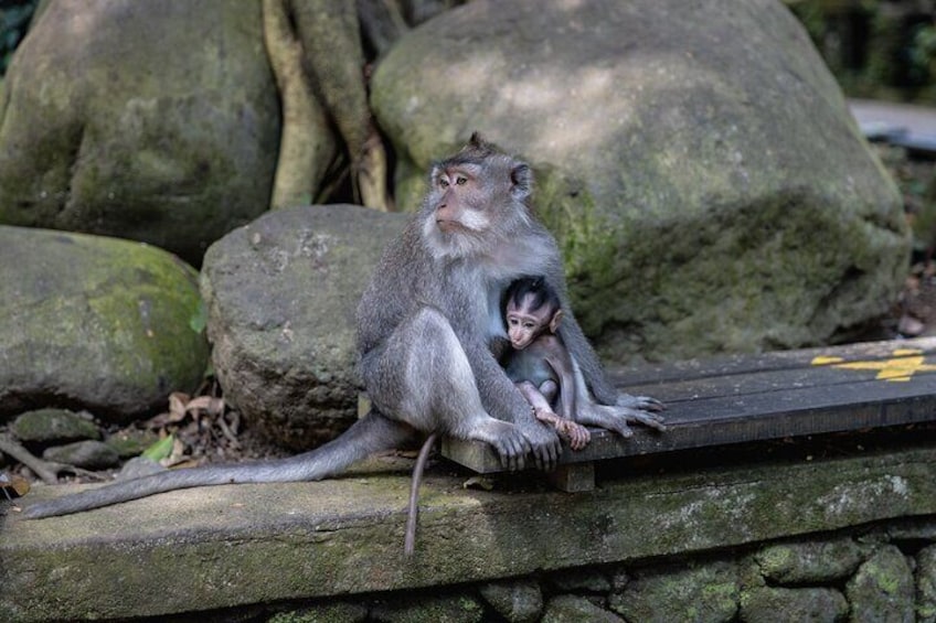 Private Tour: The Three Temples of Bali