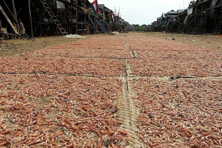 Half Day Kompong Phluk Tonle Sap Lake from Siem Reap