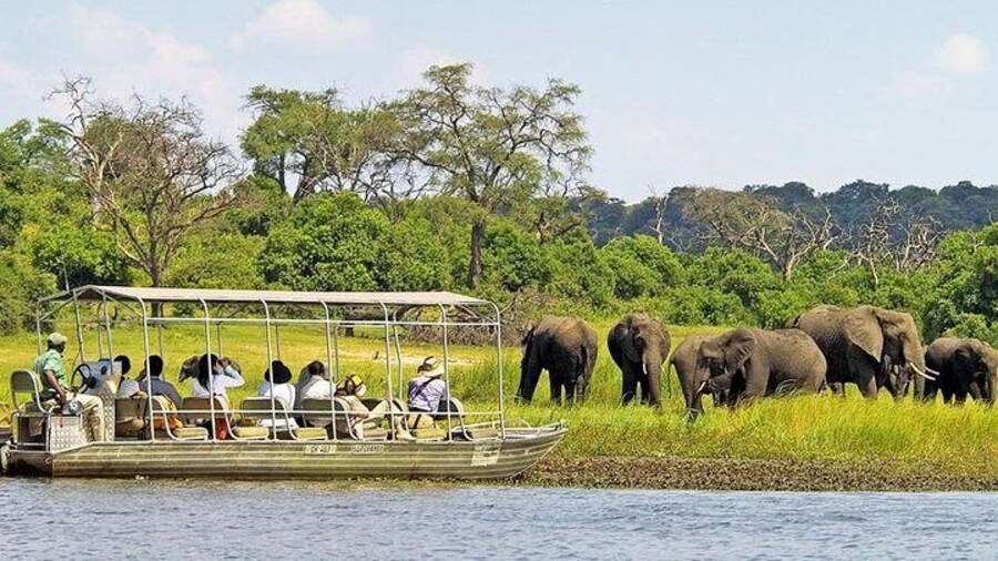 Chobe River Cruise