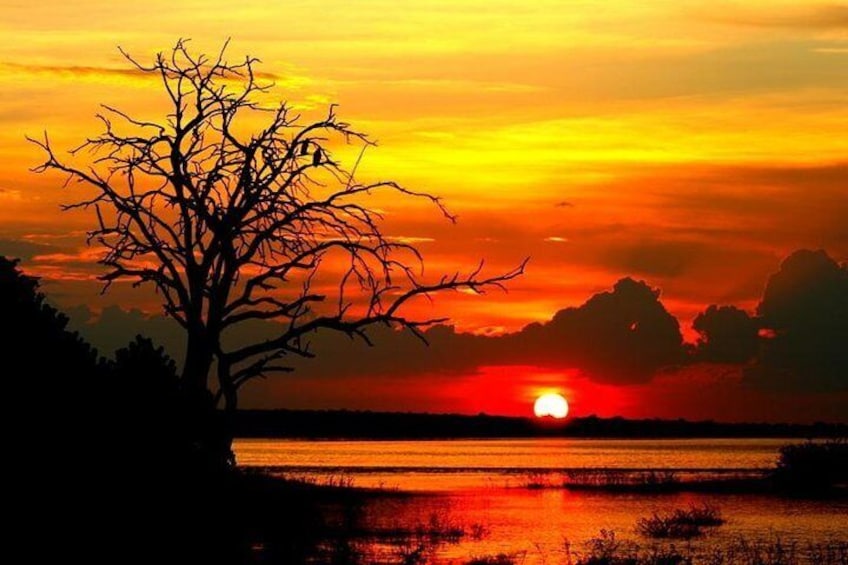 Chobe Sunset