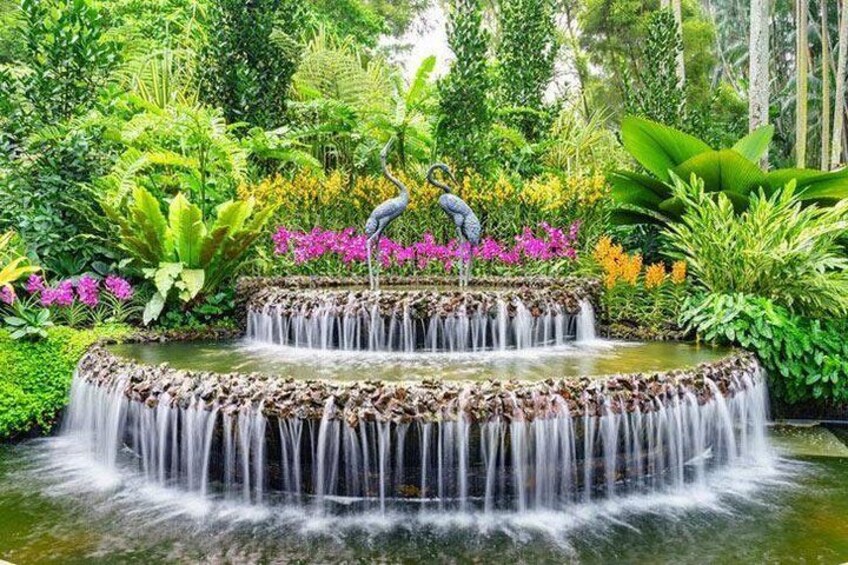 Private Half Day Singapore City Tour with Botanical Orchid Garden