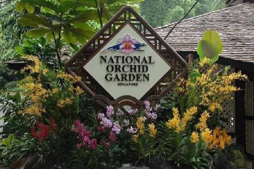 Private Half Day Singapore City Tour with Botanical Orchid Garden