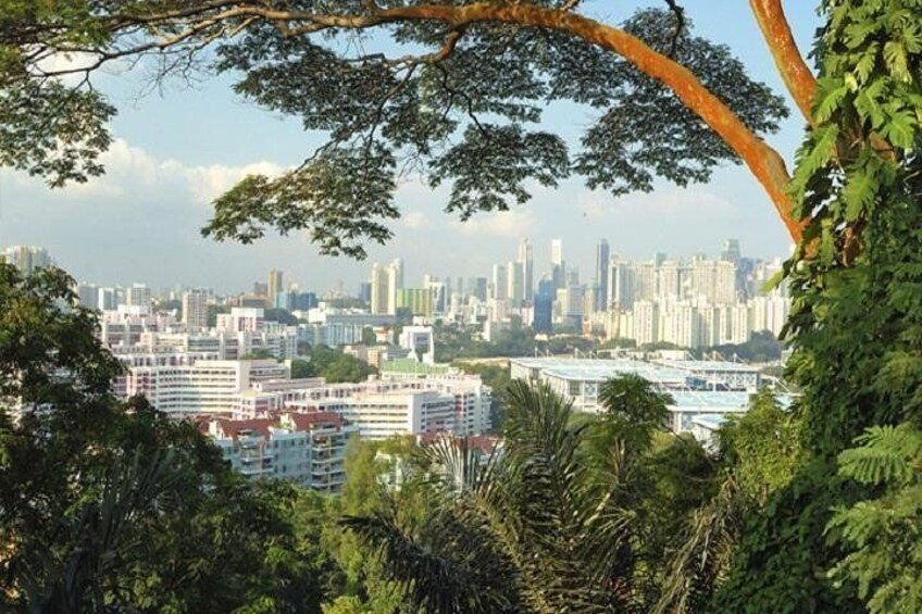 City view from Mount Faver 