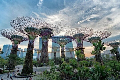 Private Singapore Night Tour met Gardens by the Bay, Trishaw Ride & River C...