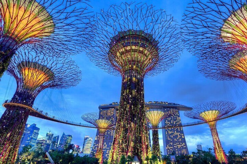 Private Singapore Night Tour with Gardens by the Bay,Trishaw Ride & River Cruise