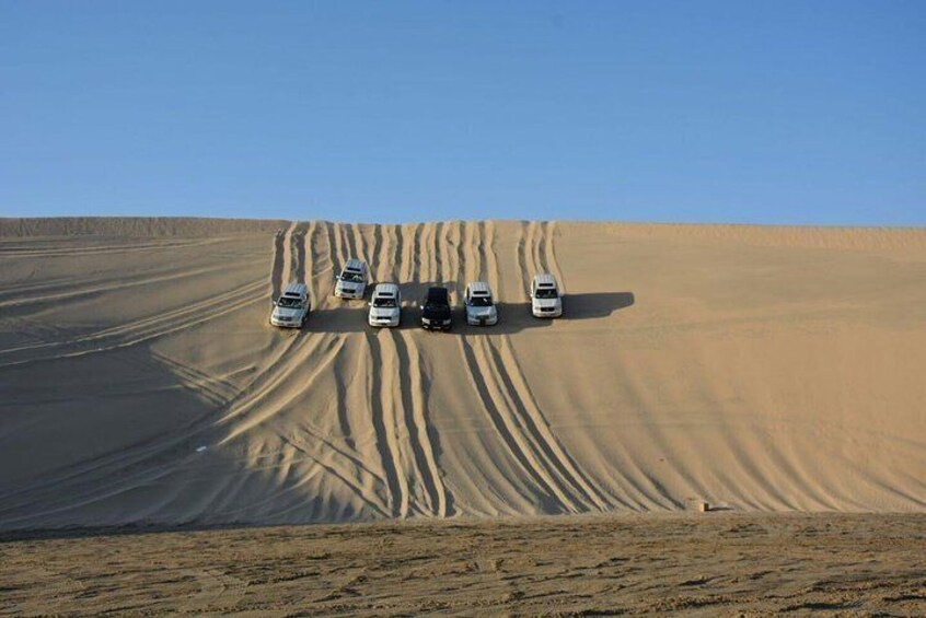  (Private) Half Day Desert Safari, Camel Ride, Sand Boarding, inland Sea Visit