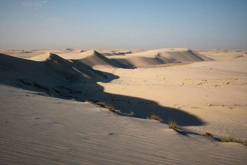 (Private) Half Day Desert Safari, Camel Ride, Sand Boarding, inland Sea Visit