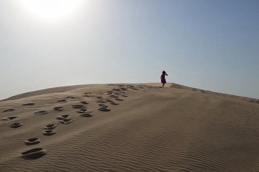 (Private) Half Day Desert Safari, Camel Ride, Sand Boarding, inland Sea Visit