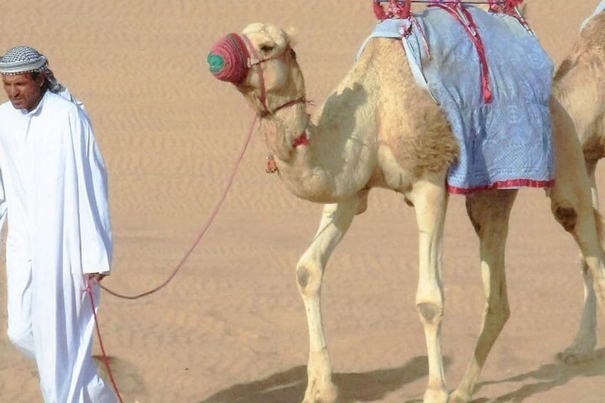 Camel ride