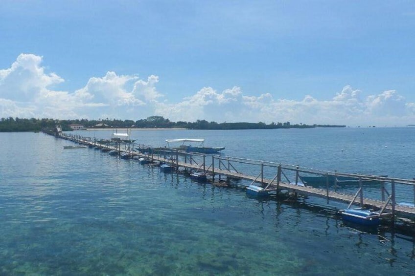 San Vicente Marine Sanctuary