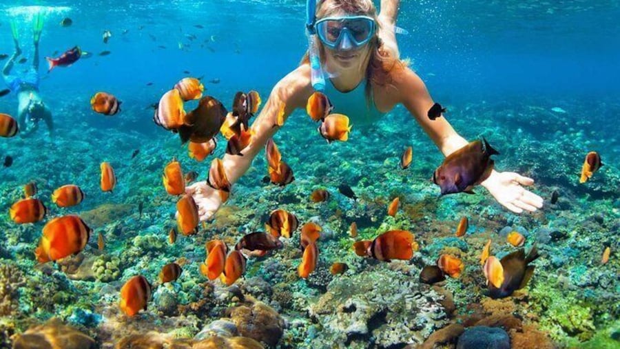 Snorkeling in the islands of Mactan
