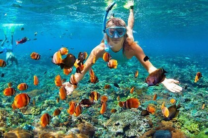 Mactan Cebu Island Hopping mit Mittagessen - Gilutungan, Caohagan, Nalusuan