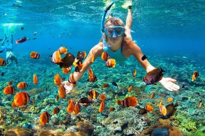 Snorkeling in the islands of Mactan