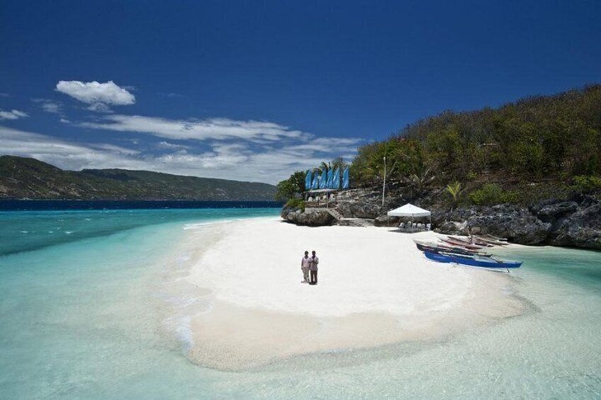 Whale Shark Watching Tumalog Falls Pescador Island and Sumilon sandbar