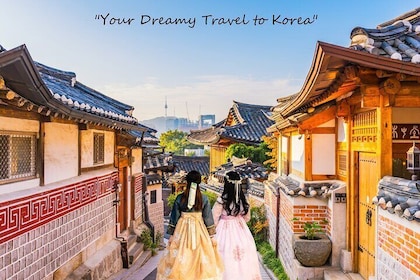 Small Group Seoul Highlight Tour opt. Hanbok & Tea Ceremony