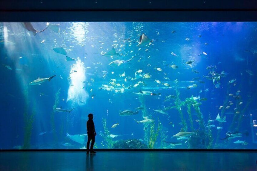 Aquarium