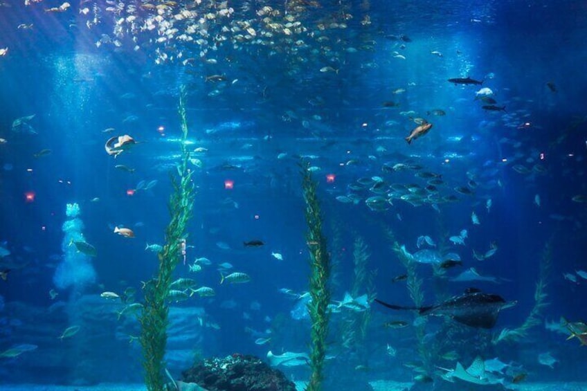 Aquarium