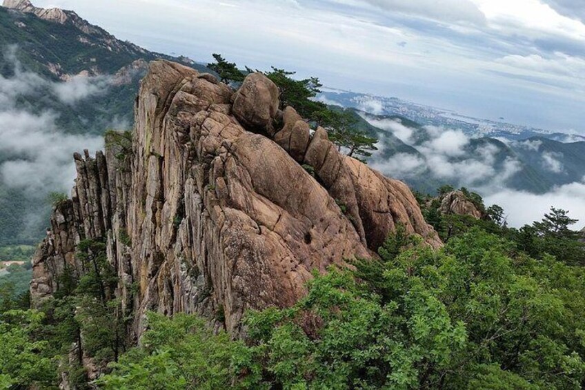 Private Hiking tour in Seorak National Park with Korean authentic chicken soup